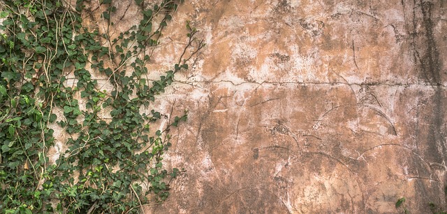 Čím vás překvapí betonový plot